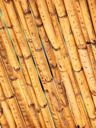 Opdag Den Bedste Træbeskyttelse På Markedet