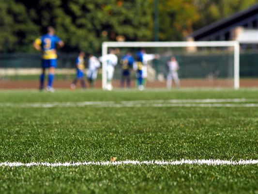 Find de bedste græsfrø til fodboldbanen