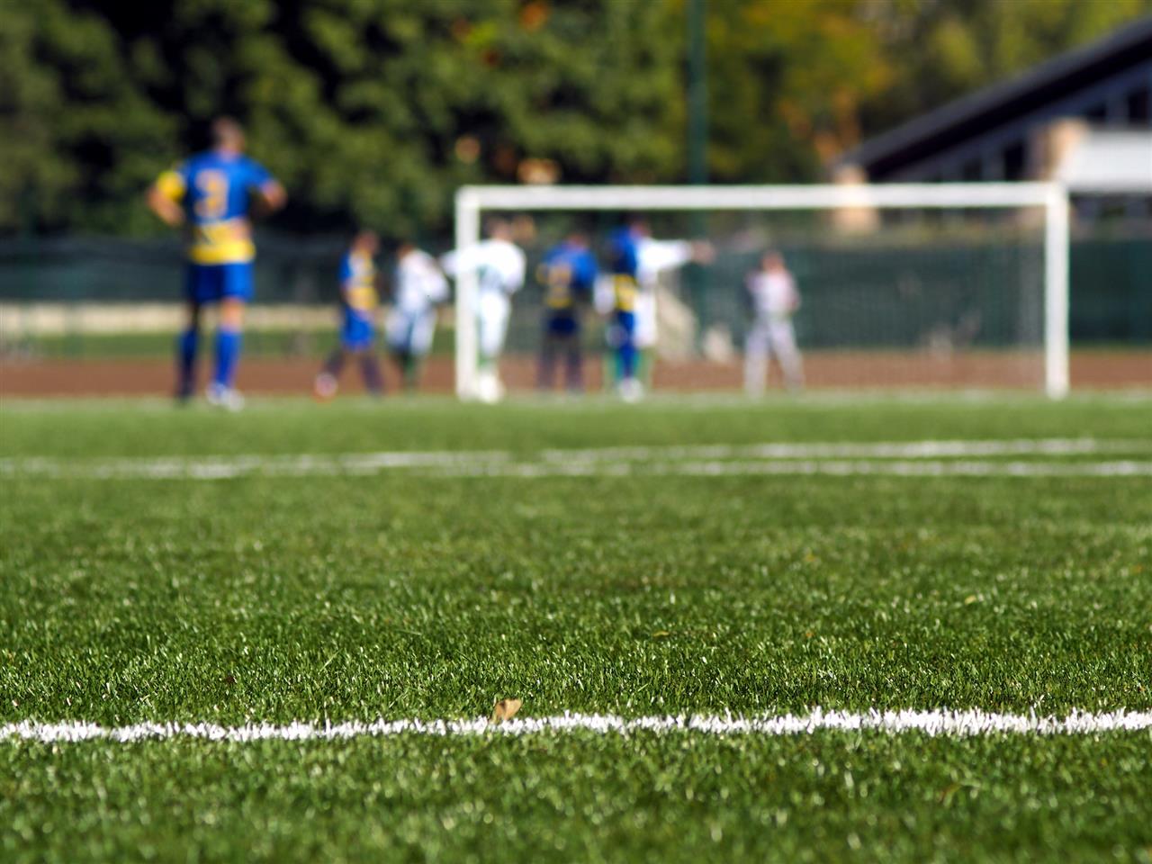 Find de bedste græsfrø til fodboldbanen
