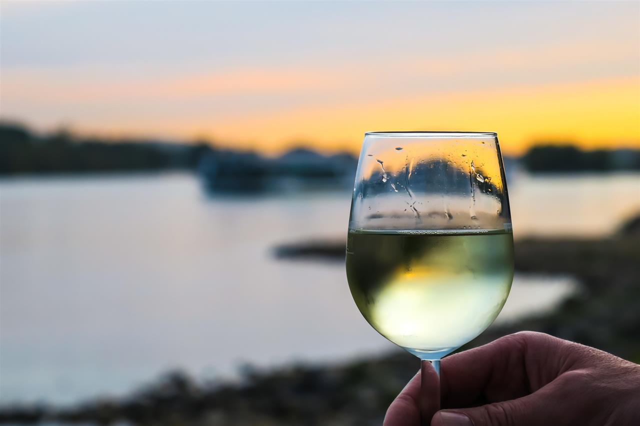 En lille guide til hvidvin – kom lynhurtigt til at lyde som et vin-geni!