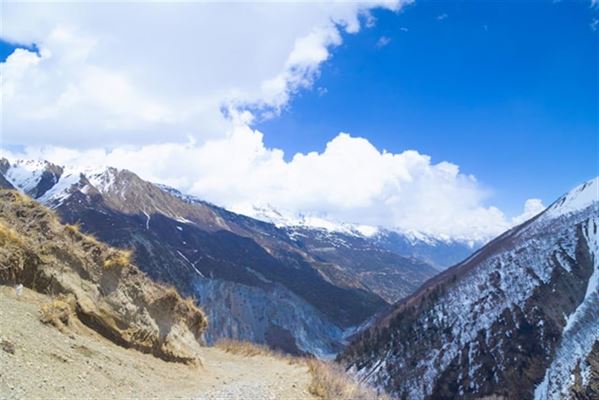 Hvad er Shilajit og hvordan dannes det?